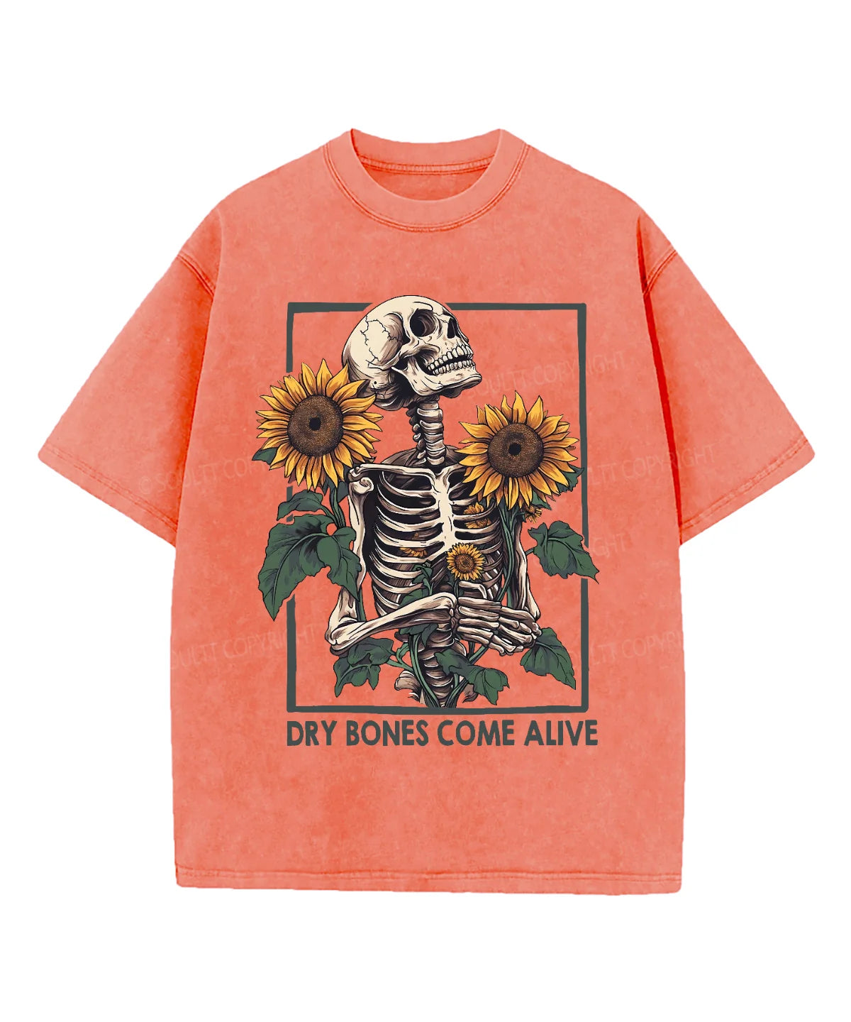 Dry Bones Come Alive Washed Christian T-shirt