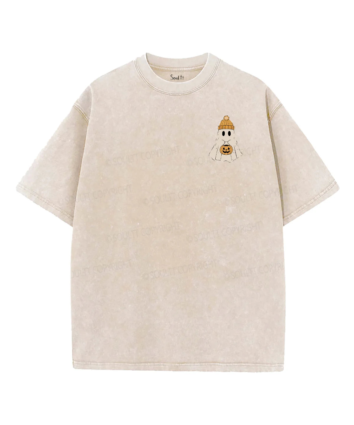 Boolieve In Jesus Double Sided Unisex Washed Christian T-shirt