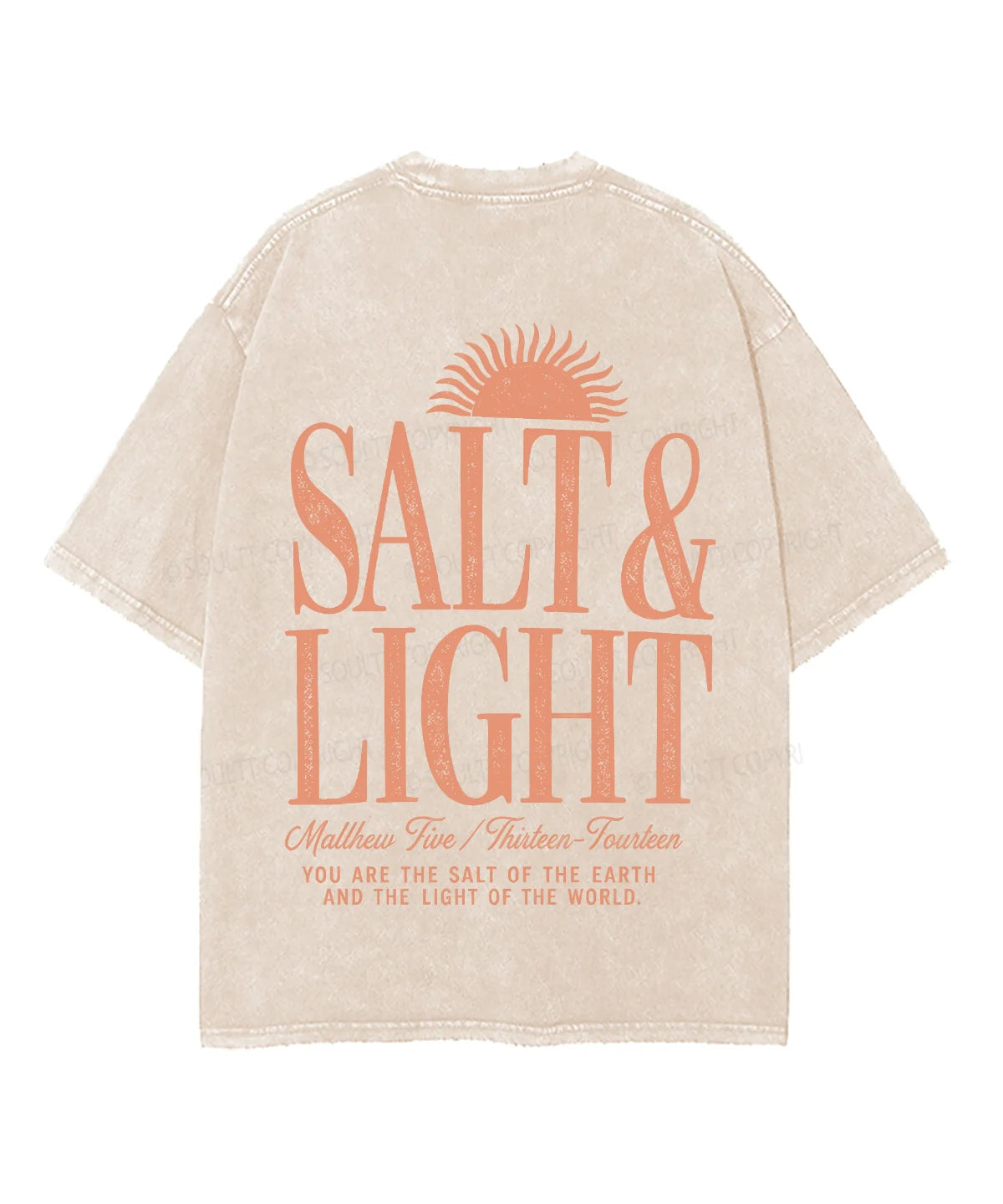 Salt & Light Double Sided Unisex Washed Christian T-shirt